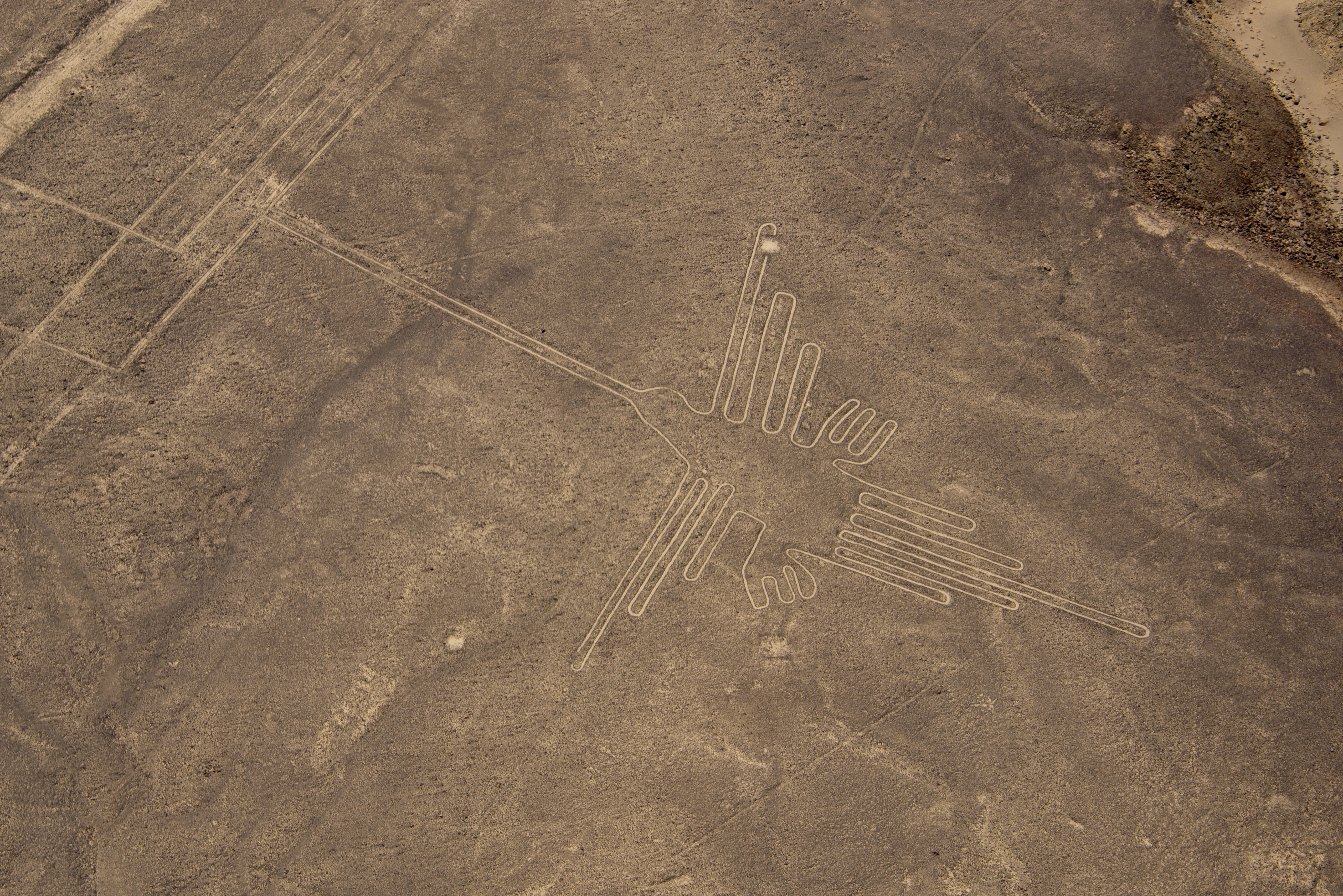 Líneas y Geoglifos de Nasca y Palpa Patrimonio Cultural